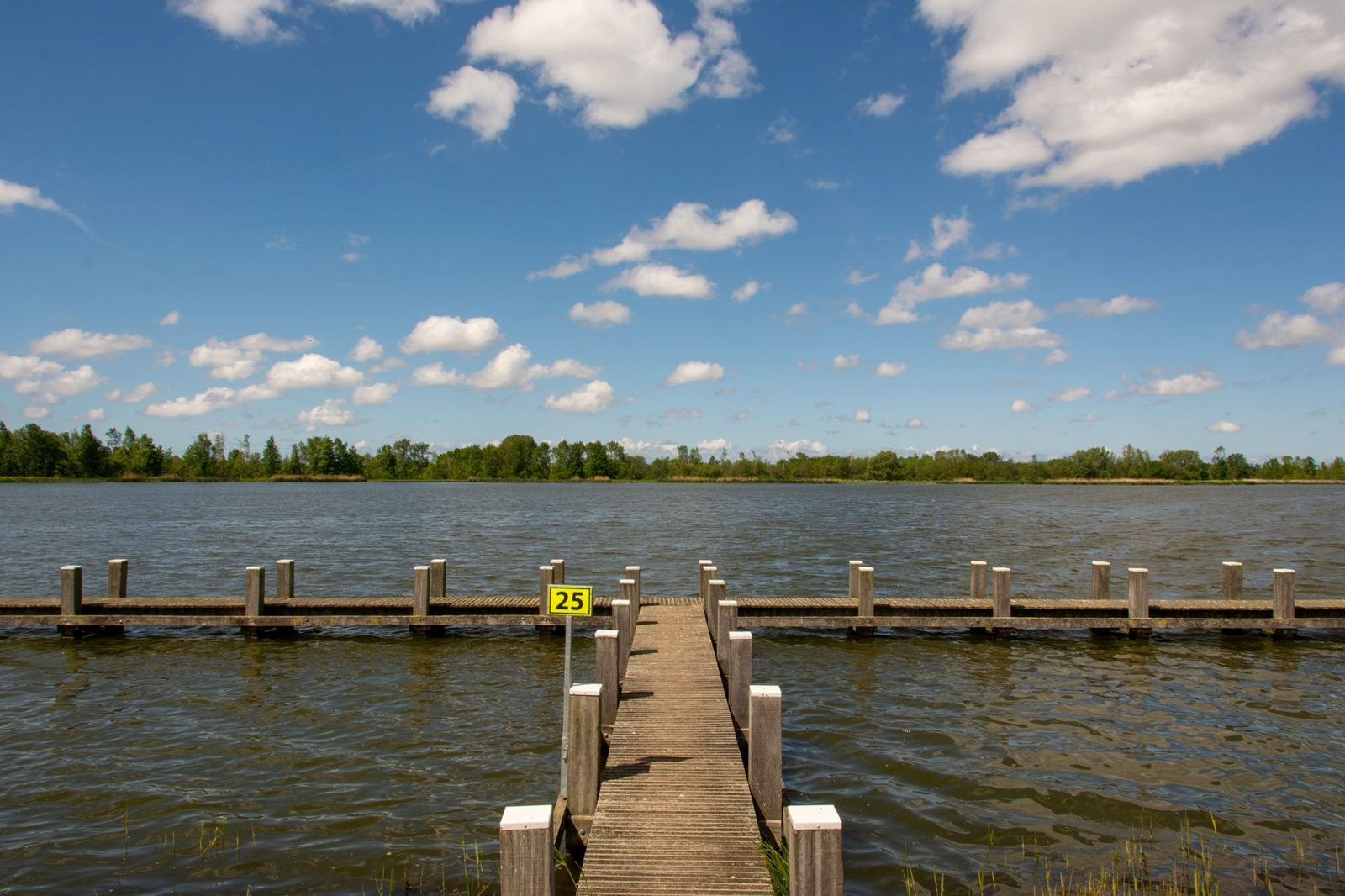 Nazomers landschap in Nederland met gouden septemberzonlicht